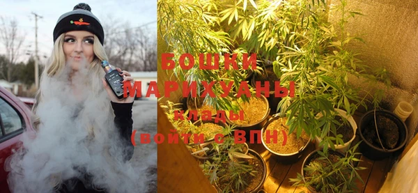 гашик Балахна