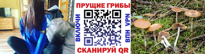Псилоцибиновые грибы прущие грибы  сколько стоит  ОМГ ОМГ зеркало  Сортавала 